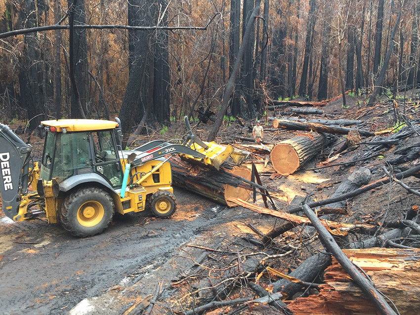 On North Escape Road: Hazard Tree Removal and Road Repair work in Big Basin after CZU Fire
